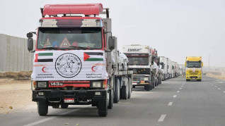 الجهود الدبلوماسية الإماراتية تثمر بإدخال أول شحنة مساعدات إنسانية إلى غزة بعد أكثر من 80 يوماً من الانقطاع