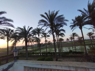صمت الأفق