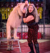 السيرك القومي يواصل تقديم برنامجه يوميا بالعحوزة