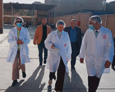 مندوب منظمة الزراعة والأغذية العالمية يزور مطاحن الإتحاد بالأقصر